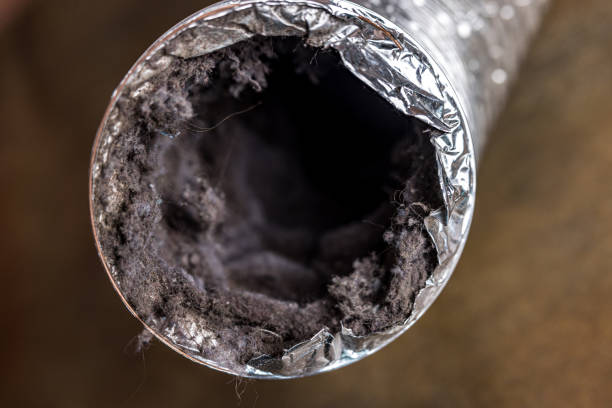 Best HVAC Duct Inspection Services  in Searles Valley, CA
