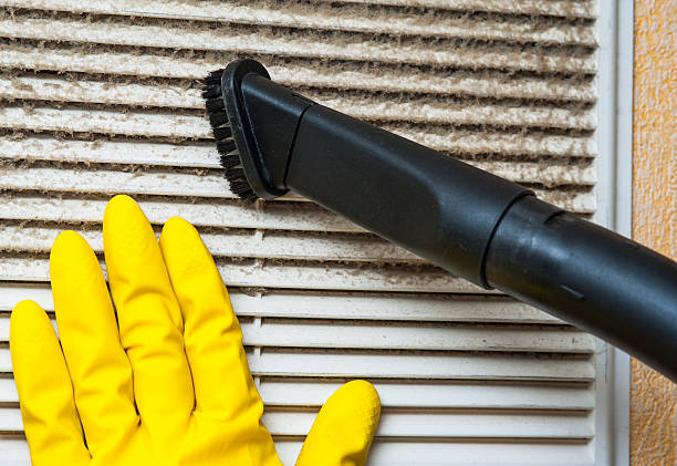 Best Home Air Vent Cleaning  in Searles Valley, CA